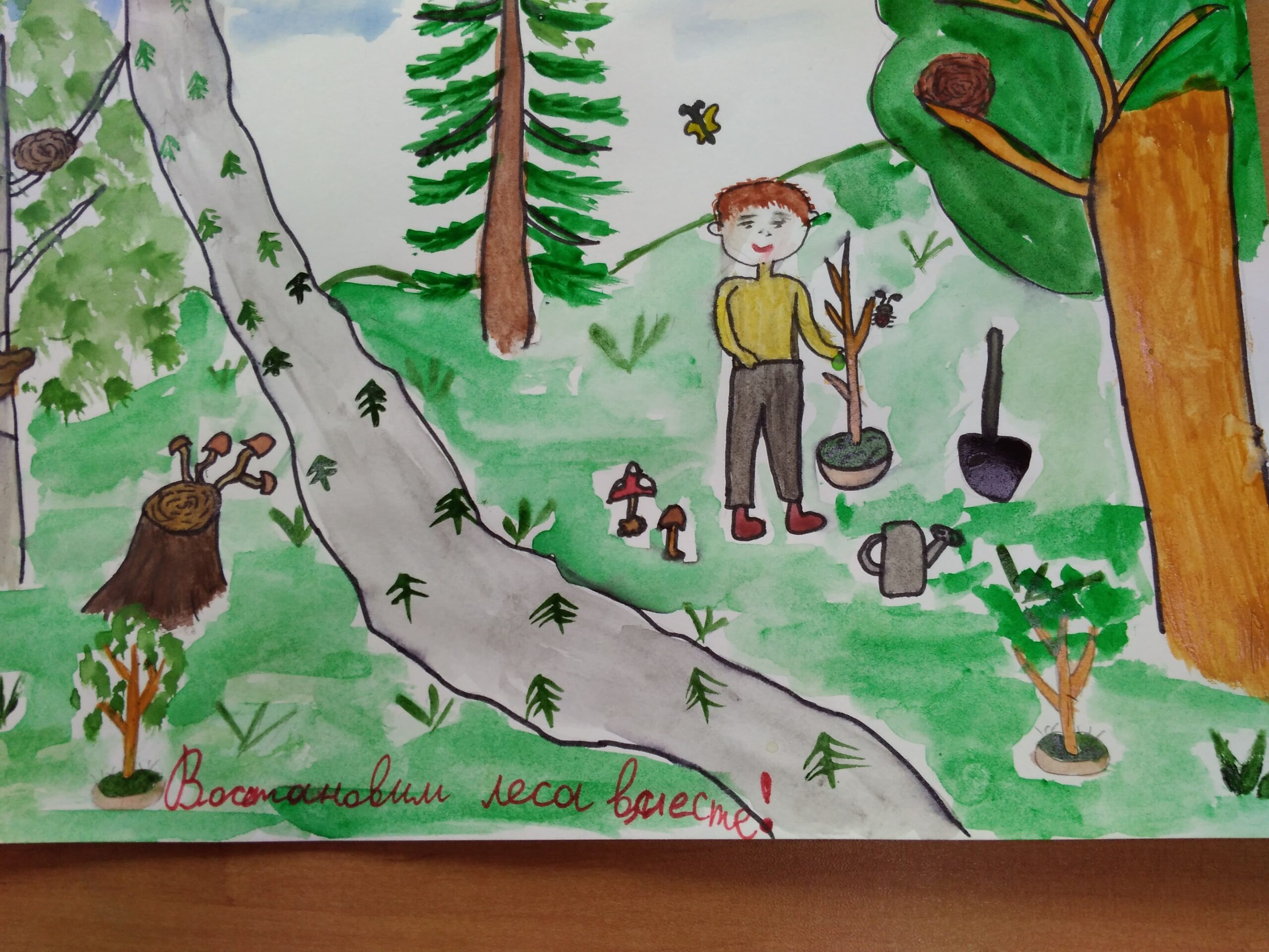 День леса рисунки детей