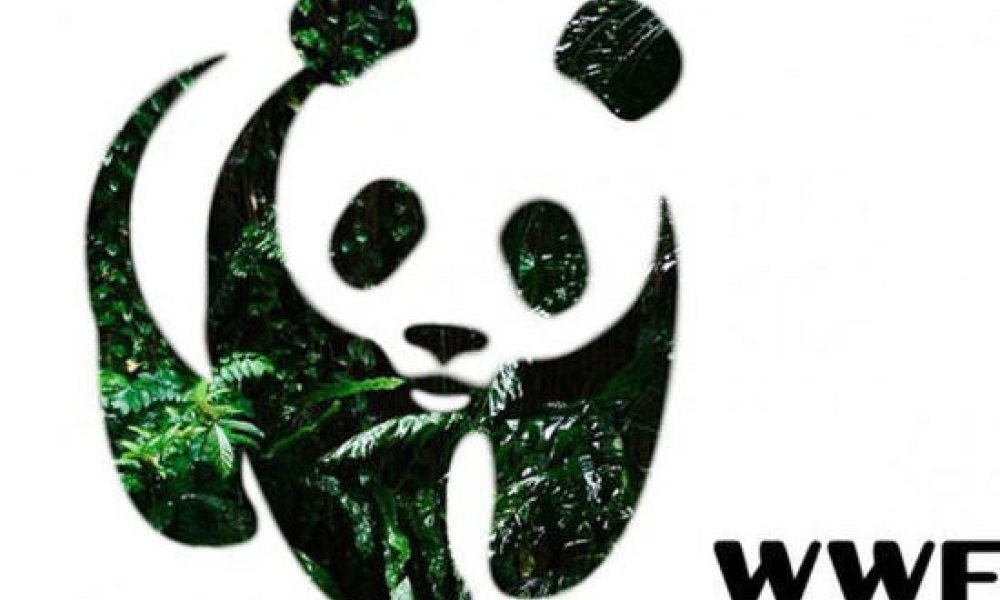 wwf