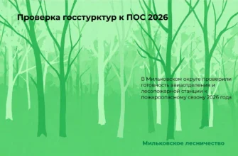 проверка готовности к пожароопасному сезону