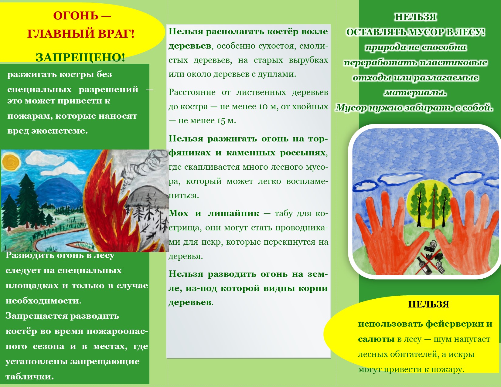 Международный день лесов 2026