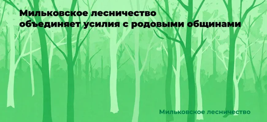 привлечение родовых общих к охране лесов