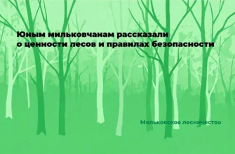 Экологическое просвещение школьников