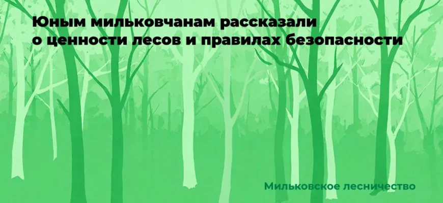 Экологическое просвещение школьников