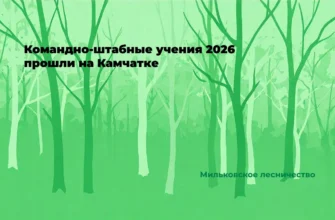 В Камчатском крае прошли командно-штабные учения по тушению лесных пожаров