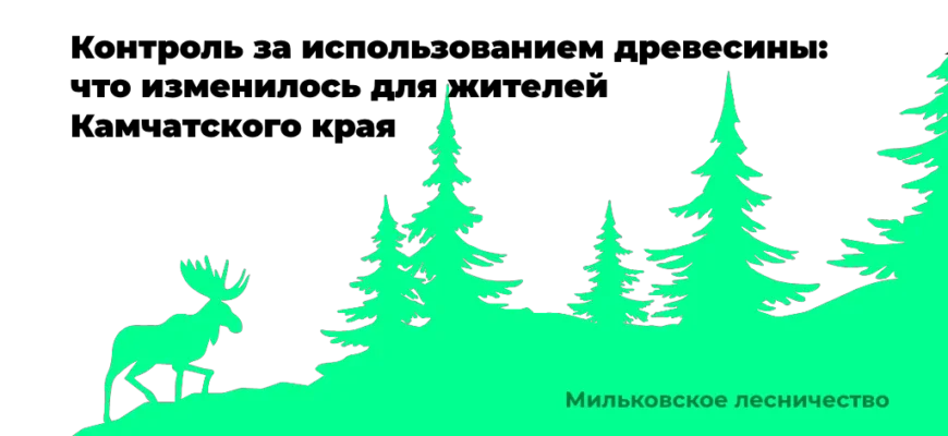 Комиссия Министерства лесного и охотничьего хозяйства Камчатского края проводит проверку целевого использования древесины у гражданина, заключившего договор купли-продажи лесных насаждений для строительства индивидуального жилого дома.