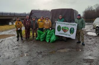 Сотрудники Мильковского лесничества очищают от мусора зону отдыха в лесу в ходе акции «Сохраним лес!», Камчатский край